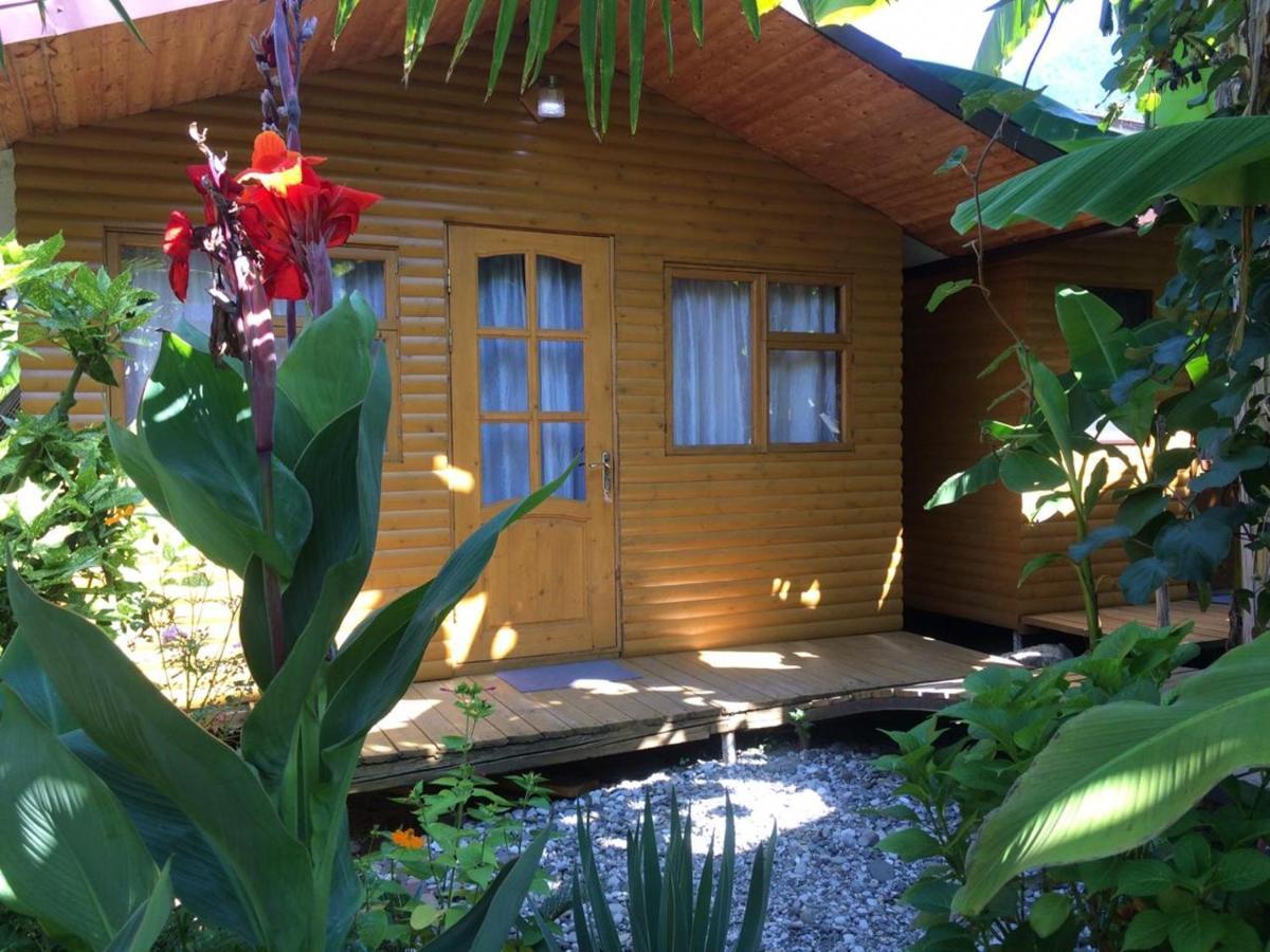 Гостевой Дом У Левы Gagry Exterior photo