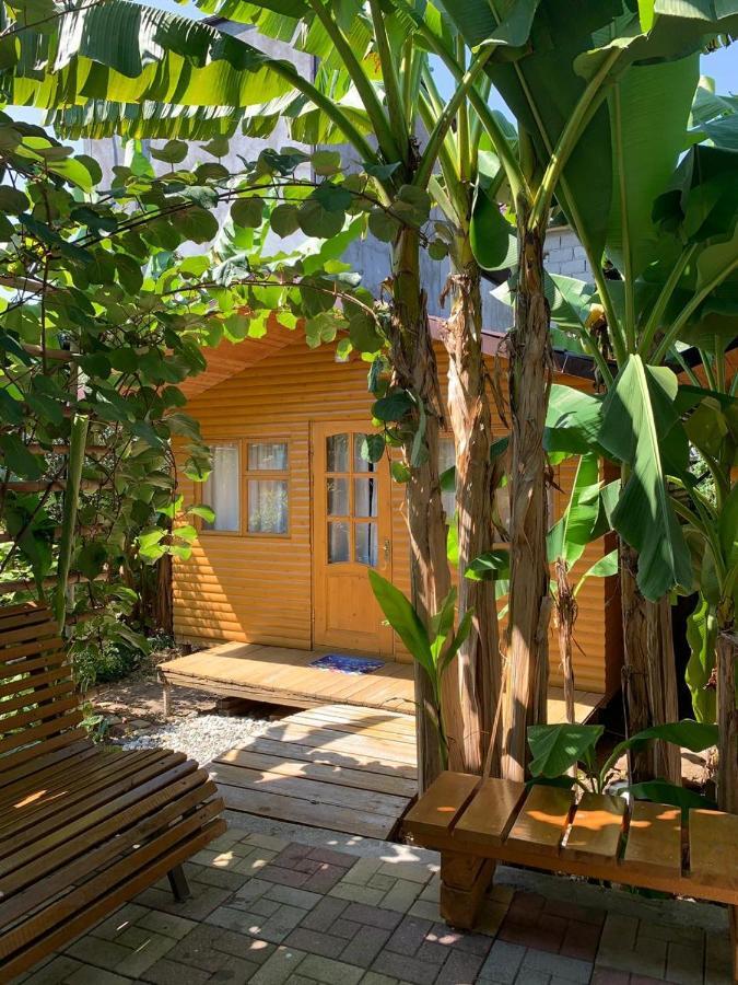 Гостевой Дом У Левы Gagry Exterior photo